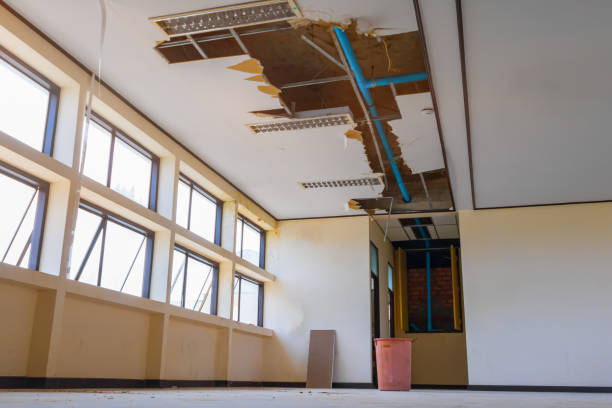 Best Residential water damage restoration  in Royal Palm Beach, FL