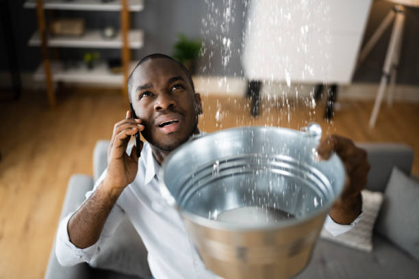 Best Emergency water extraction  in Royal Palm Beach, FL