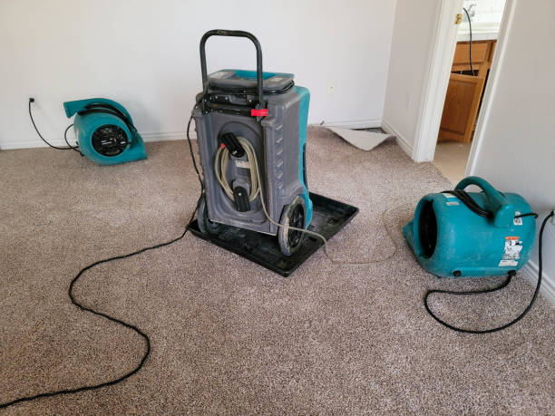 Best Water damage restoration near me  in Royal Palm Beach, FL