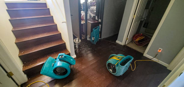 Best Emergency water damage restoration  in Royal Palm Beach, FL