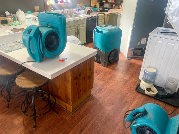 Best Local water damage restoration  in Royal Palm Beach, FL