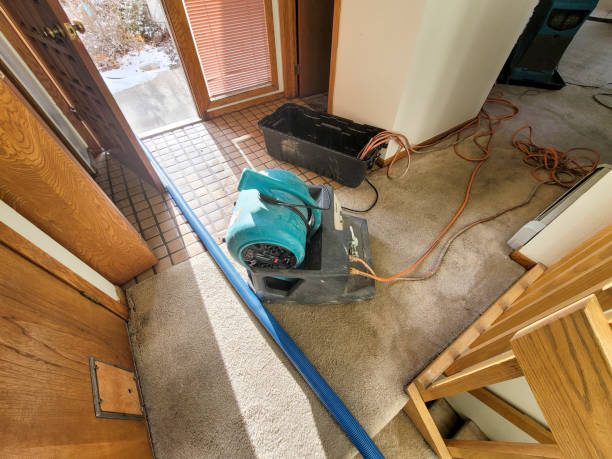  Royal Palm Beach, FL Water damage restoration Pros