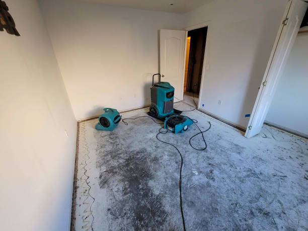 Best Flood damage cleanup  in Royal Palm Beach, FL