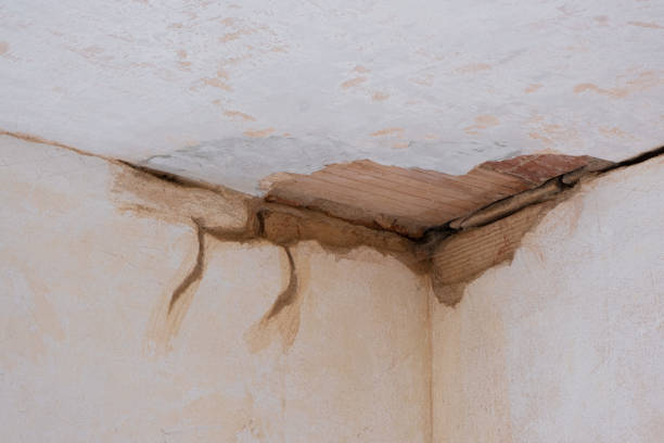 Best Sewage cleanup and water damage restoration  in Royal Palm Beach, FL