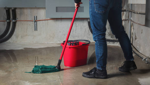 Best Commercial water damage restoration  in Royal Palm Beach, FL