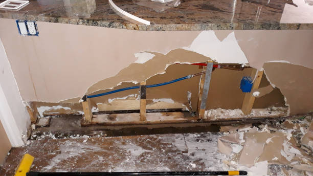 Best 24-hour water damage restoration  in Royal Palm Beach, FL