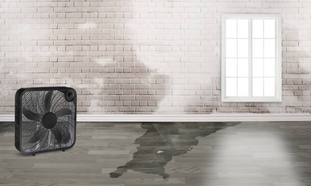 Best Emergency water damage restoration  in Royal Palm Beach, FL