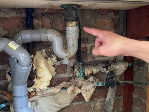 Best Flood damage cleanup  in Royal Palm Beach, FL