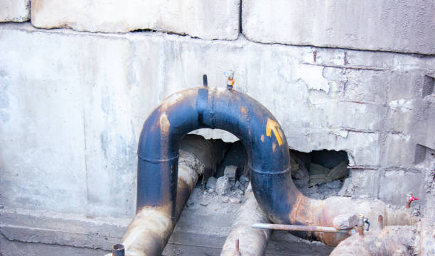 Best Water damage cleanup near me  in Royal Palm Beach, FL