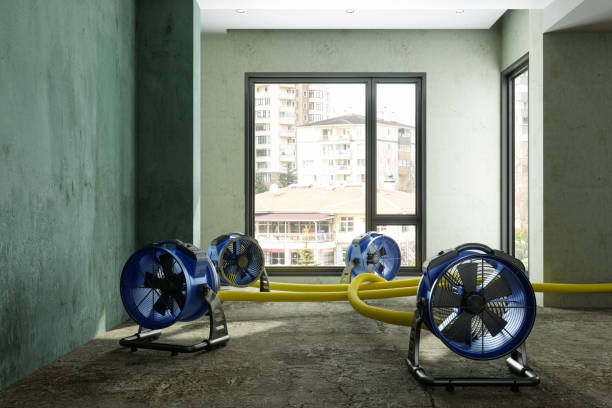Best Water damage restoration near me  in Royal Palm Beach, FL