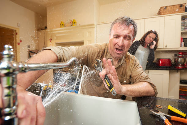 Best 24/7 water damage repair  in Royal Palm Beach, FL